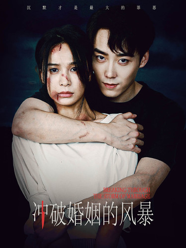 沖破婚姻的風(fēng)暴第01集