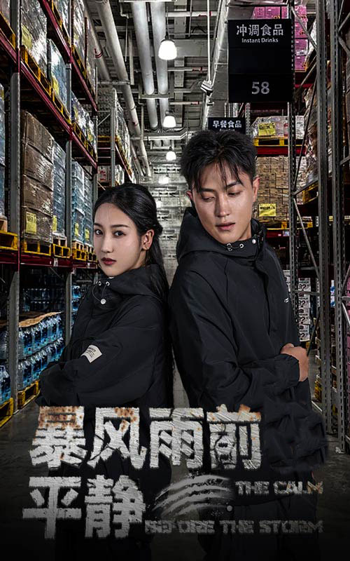 暴風(fēng)雨前的平靜全集(大結(jié)局)